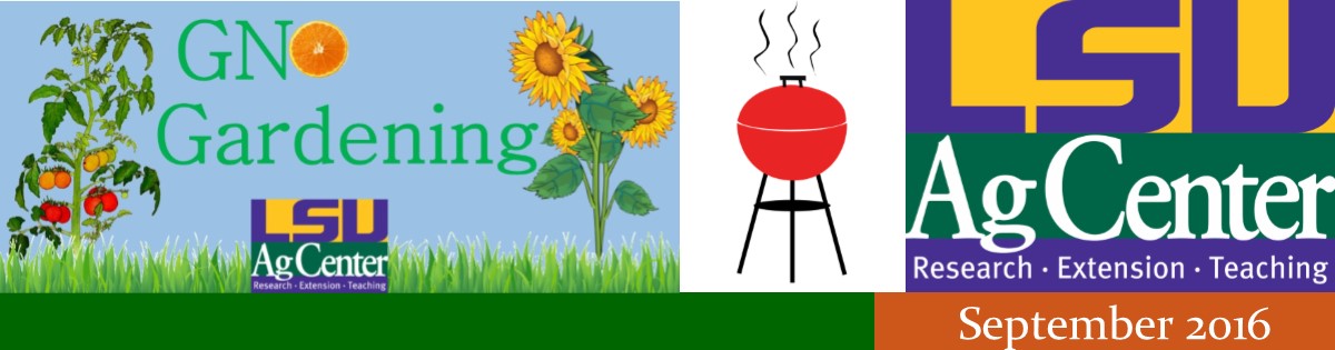 GNO Gardening September 2016